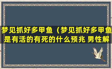 梦见抓好多甲鱼（梦见抓好多甲鱼是有活的有死的什么预兆 男性解梦）